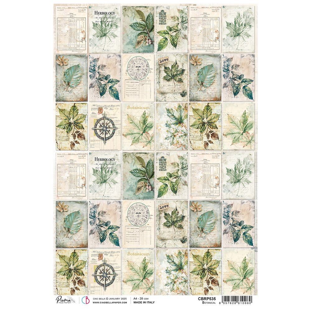 Carta di riso A4 Botanical Cabinet of Curiosities
