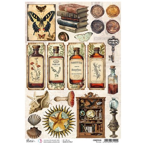 Carta di riso A4 Potions Cabinet of Curiosities