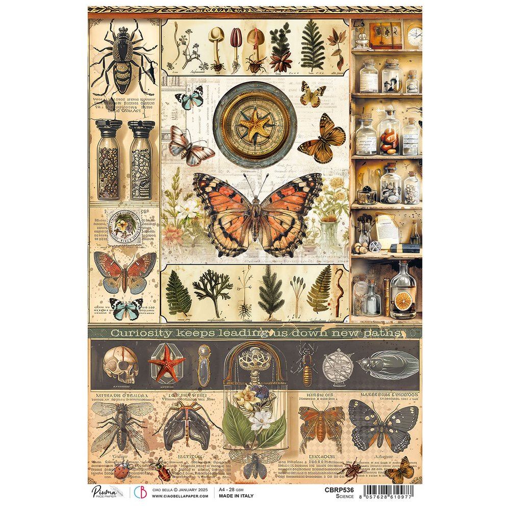Carta di riso A4 Science Cabinet of Curiosities