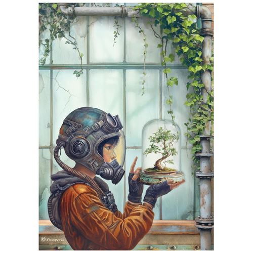 Carta di riso A new Beginning terrario Stamperia