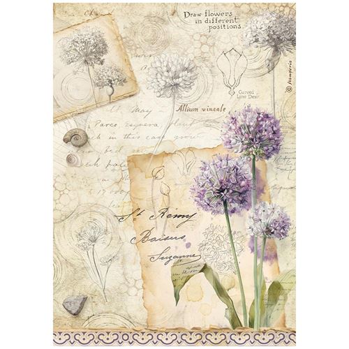 Carta di riso All Around Allium Stamperia