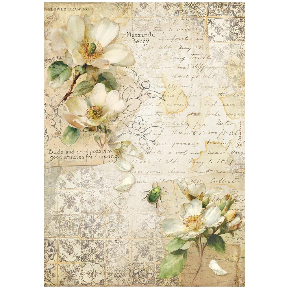 Carta di riso All Around Camelia Stamperia