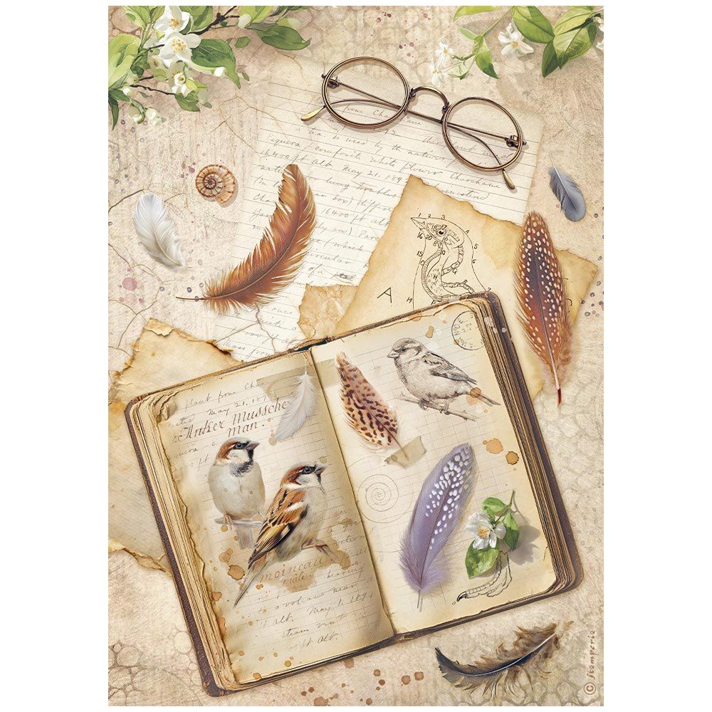 Carta di riso All Around libro Stamperia