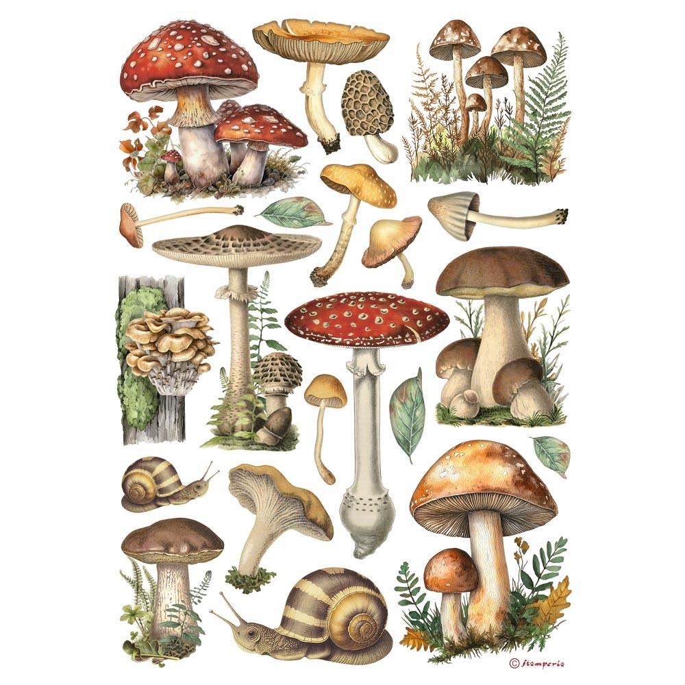 Carta di riso Best Sellers funghi Stamperia