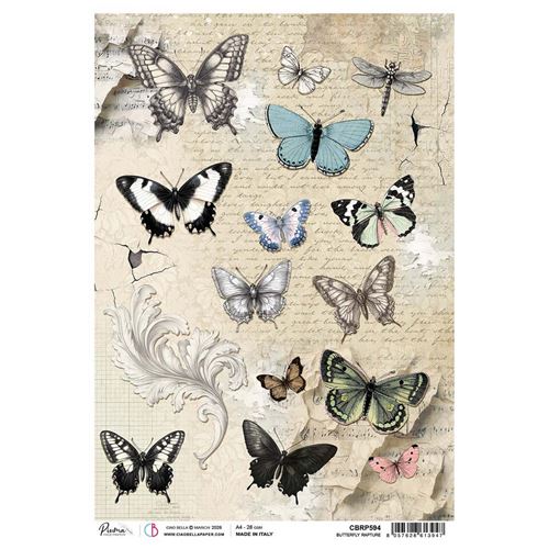 Carta di riso Butterfly Rapture Typographic