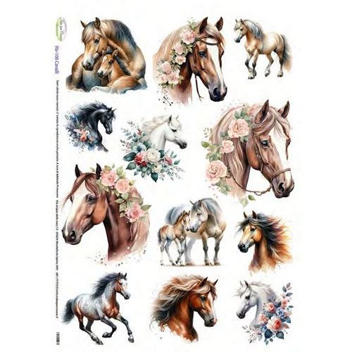 Carta di riso Cavalli