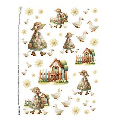 Carta di riso Country