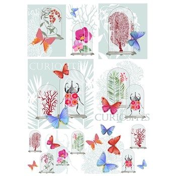 Carta di riso Curiosites