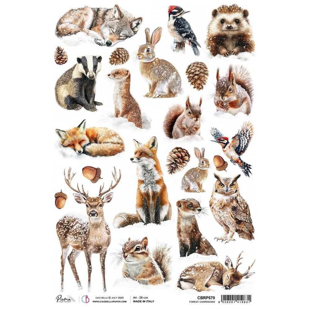 Carta di riso Forest Companions Forest Tales