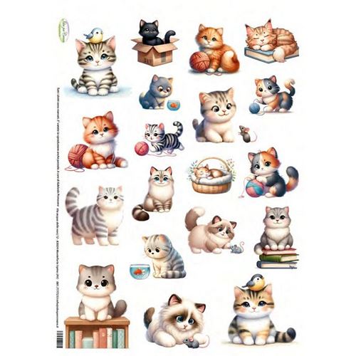 Carta di riso Gatti