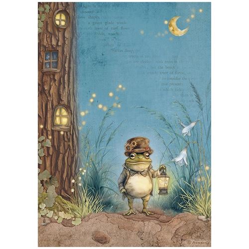 Carta di riso Hidden Grove Mr Frog Stamperia