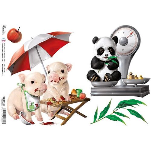 Carta di riso Mealtime