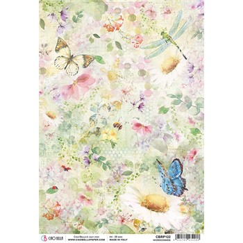 Carta di riso Microcosmos