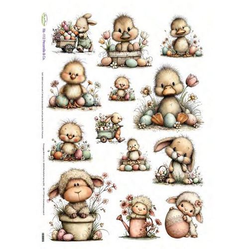 Carta di riso Pecorelle & Co