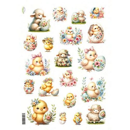 Carta di riso Pulcini & Co