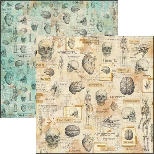 Carta scrap Human Anatomy