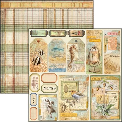 Carta scrap Sign of the Times Tags & Frames