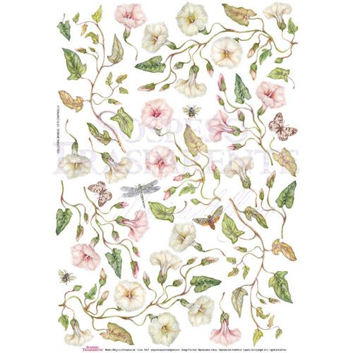 Carta serie Ramage Campanelle