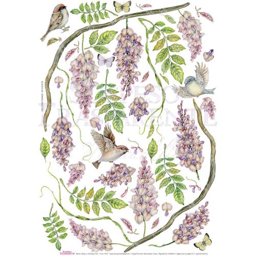 Carta serie Ramage Glicine