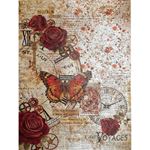 Carte Deluxe Cabinet of Curiosities A4