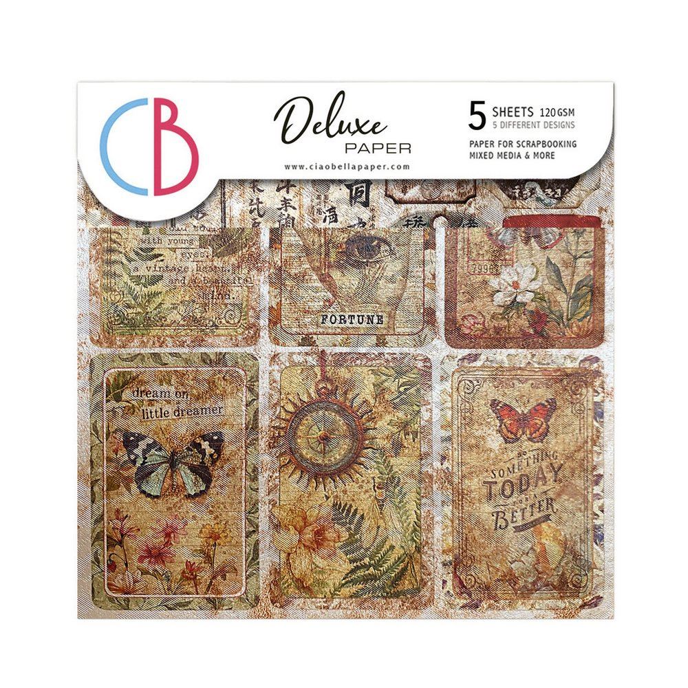 Carte Deluxe Cabinet of Curiosities cm 15 x 15