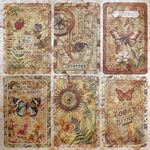 Carte Deluxe Cabinet of Curiosities cm 15 x 15
