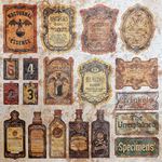 Carte Deluxe Cabinet of Curiosities cm 15 x 15