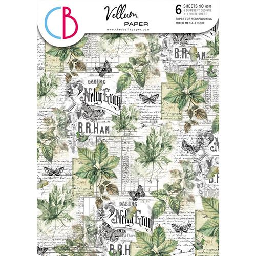 Carte Vellum Cabinet of Curiosities A4