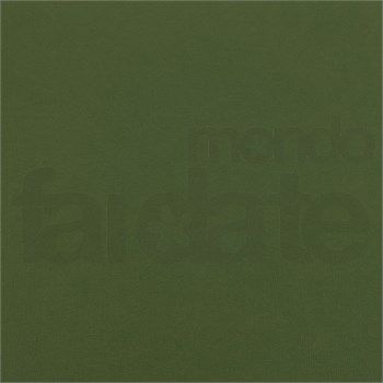 Cartoncino Bazzill Ivy