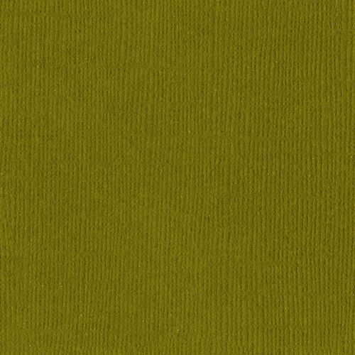 Cartoncino Bazzill Nixon