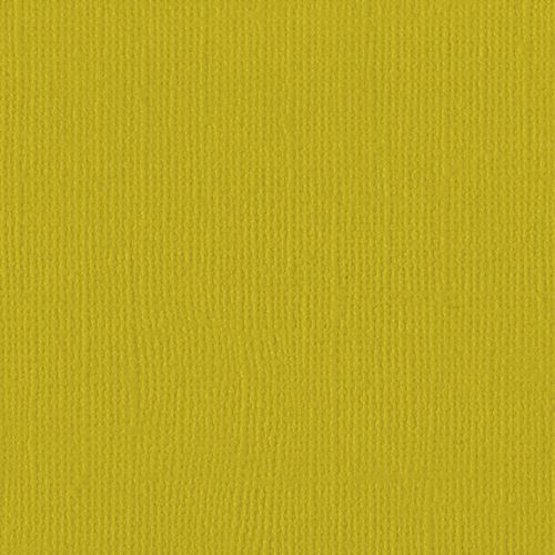 Cartoncino Bazzill Parakeet