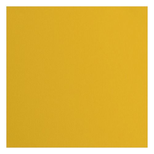 Cartoncino Bee con texture 216 gr