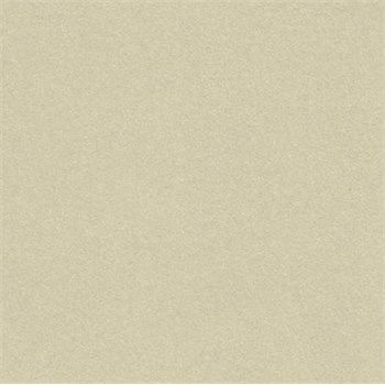 Cartoncino Dust Sabbia metallizzato