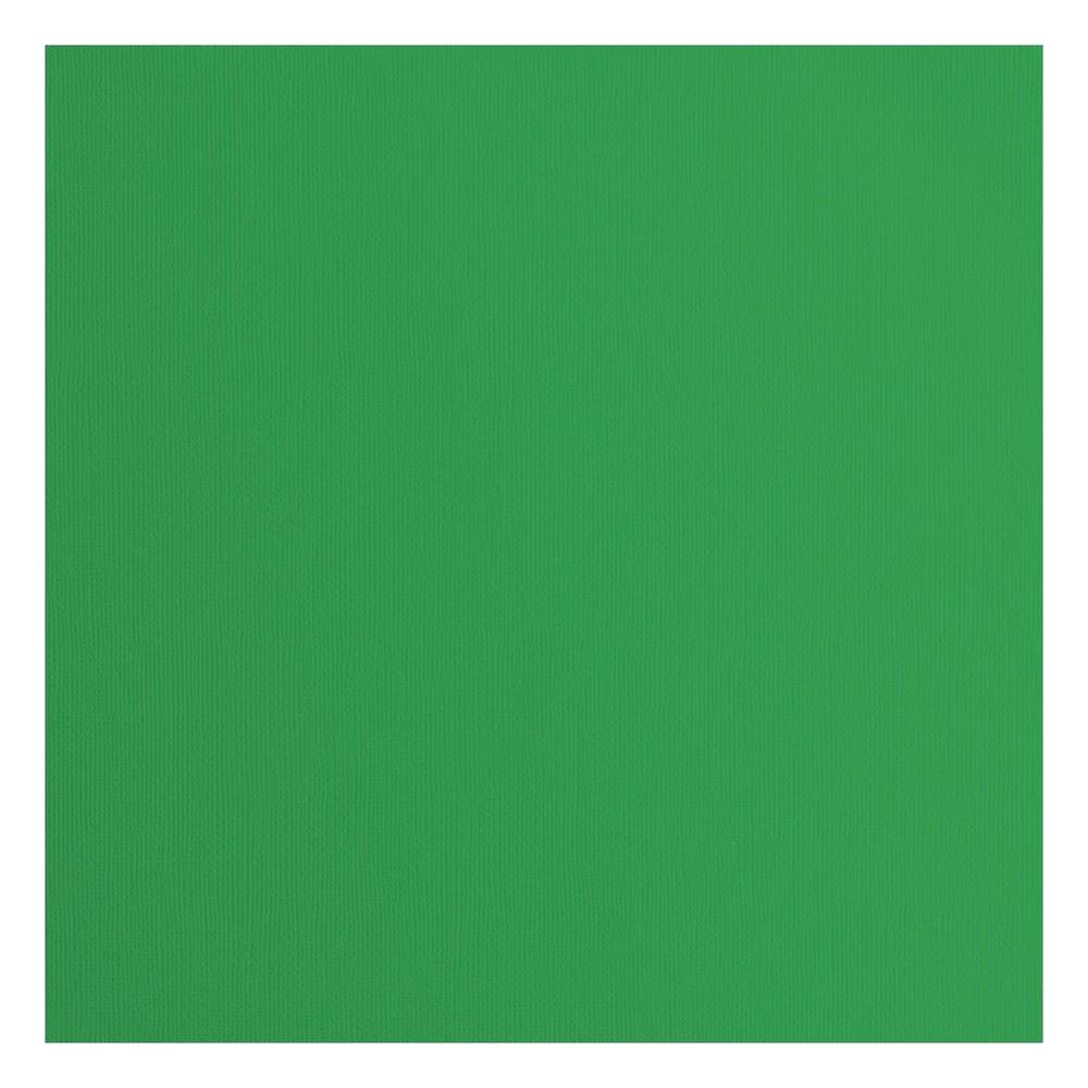 Cartoncino Florence Holly