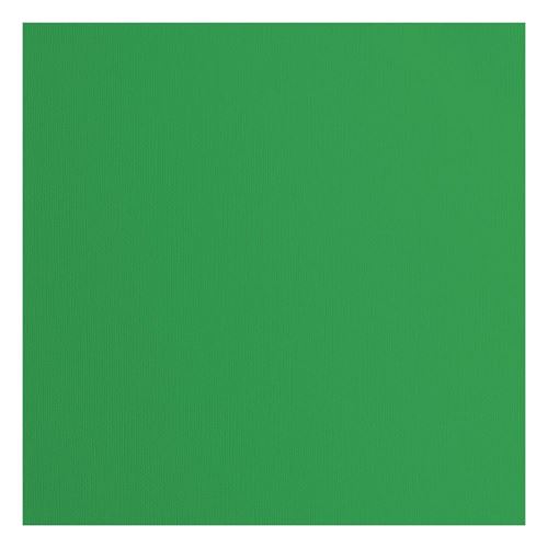 Cartoncino Florence Holly