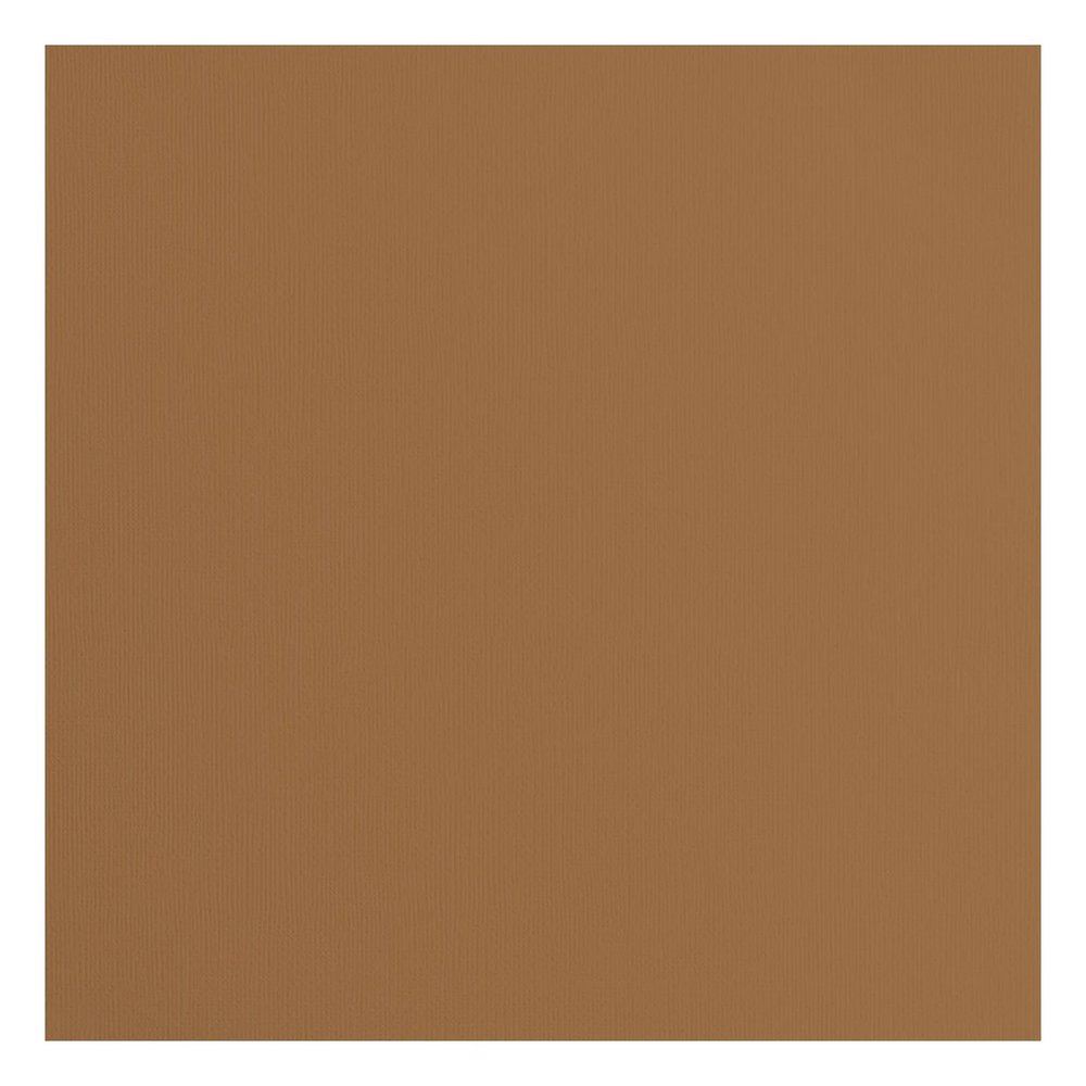 Cartoncino Lion con texture 216 gr