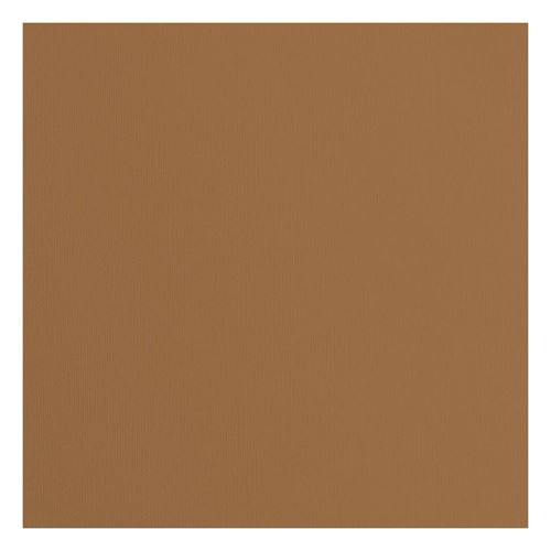 Cartoncino Lion con texture 216 gr