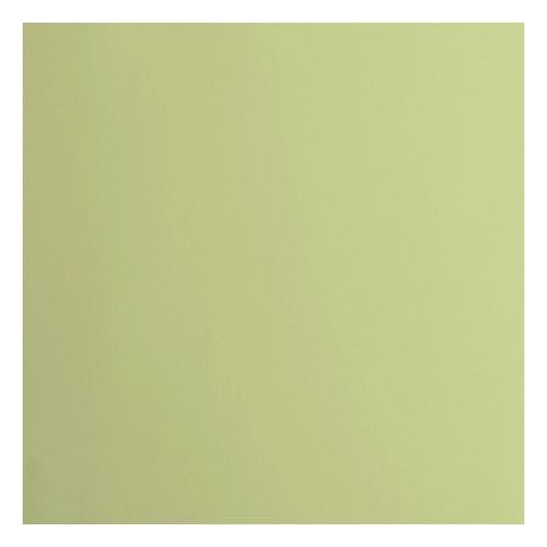 Cartoncino Liscio Florence Anise