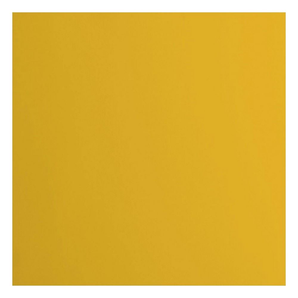 Cartoncino Liscio Florence Bee