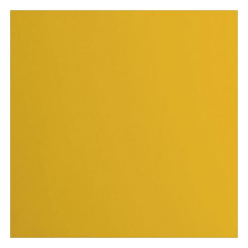 Cartoncino Liscio Florence Bee