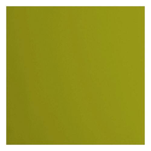 Cartoncino Liscio Florence Fern