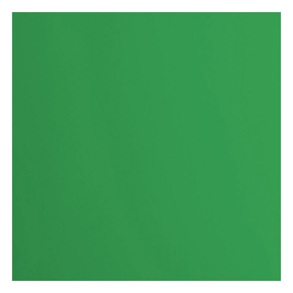 Cartoncino Liscio Florence Holly