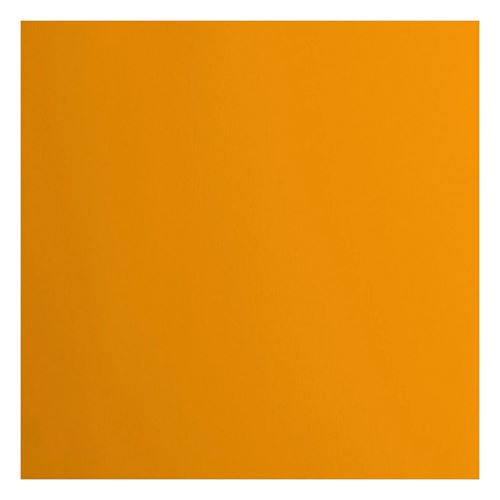 Cartoncino Liscio Florence Mango