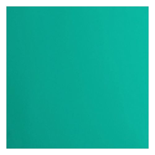 Cartoncino Liscio Florence Spa