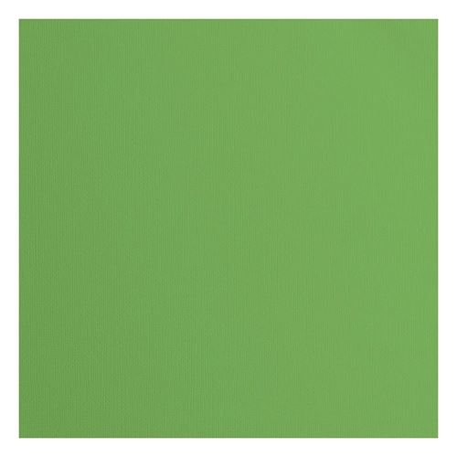 Cartoncino Moss con texture 216 gr