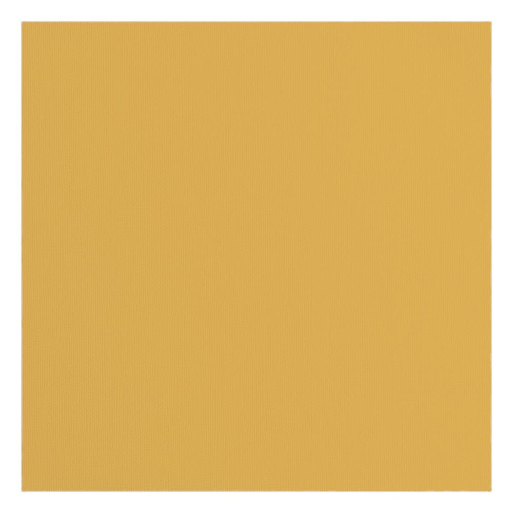 Cartoncino Parchment con texture 216 gr