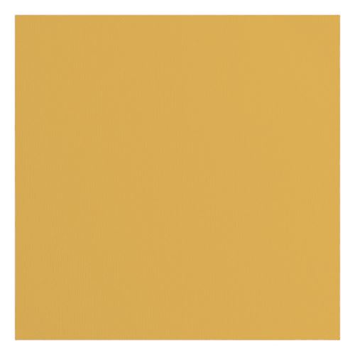 Cartoncino Parchment con texture 216 gr