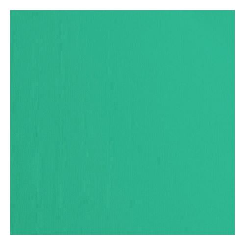Cartoncino Sage con texture 216 gr