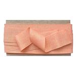 Nastro Cencio Iridescente Salmone