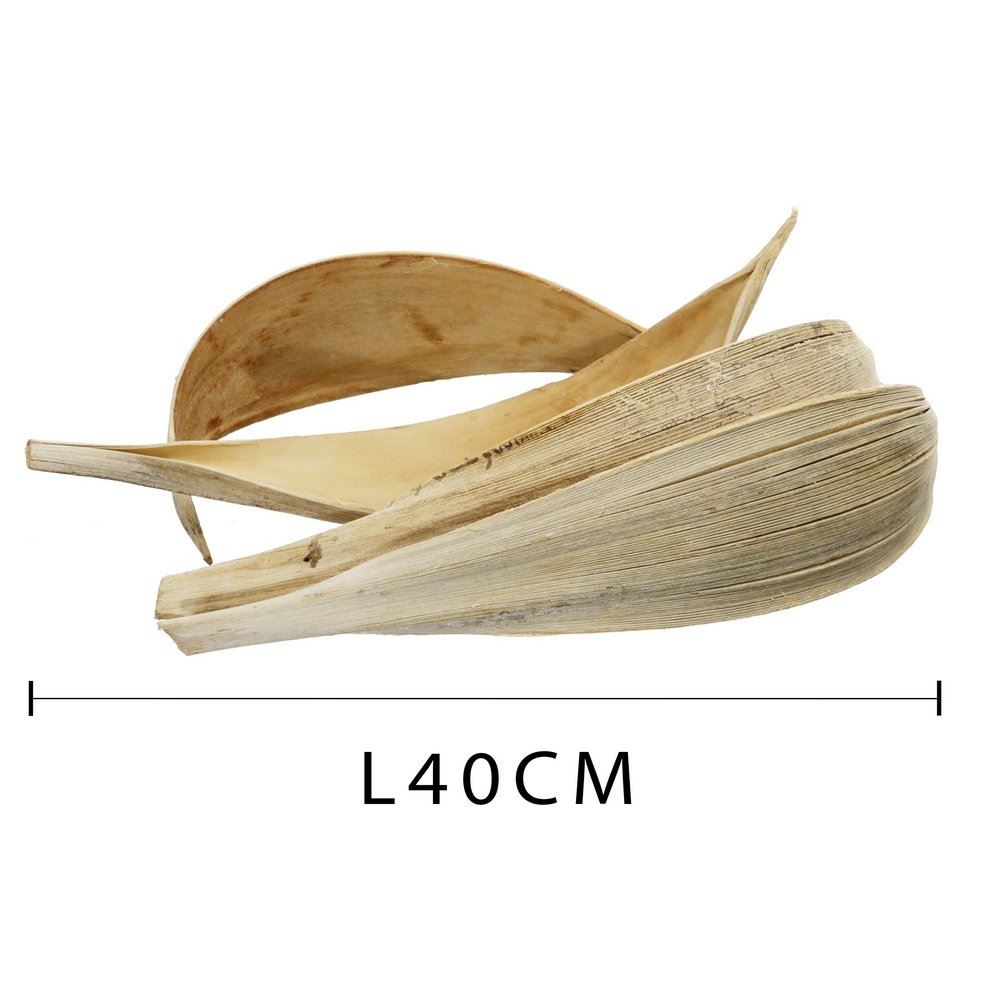 Coco Med Sbiancata cm 30-40